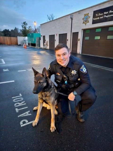 Davidovich   Maverick