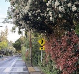 Active Transportation Plan