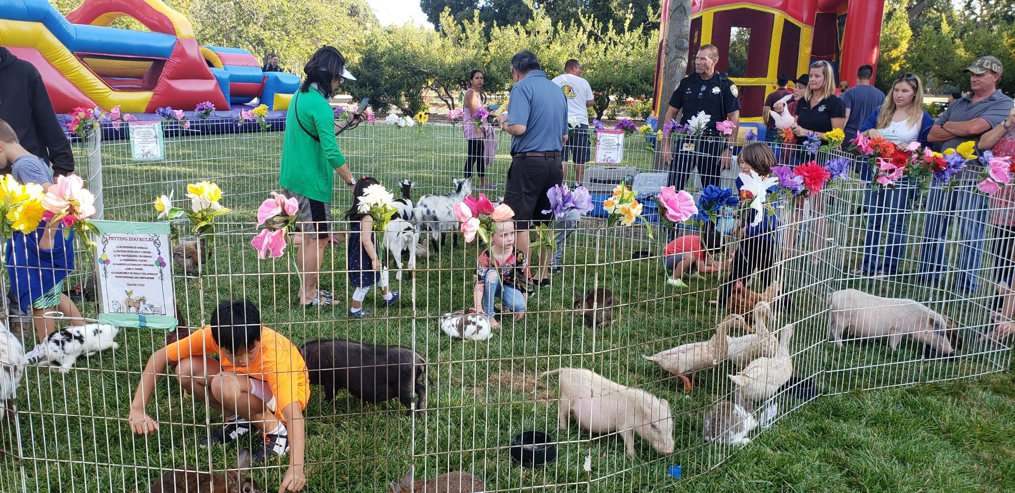 20190806_182538_resized