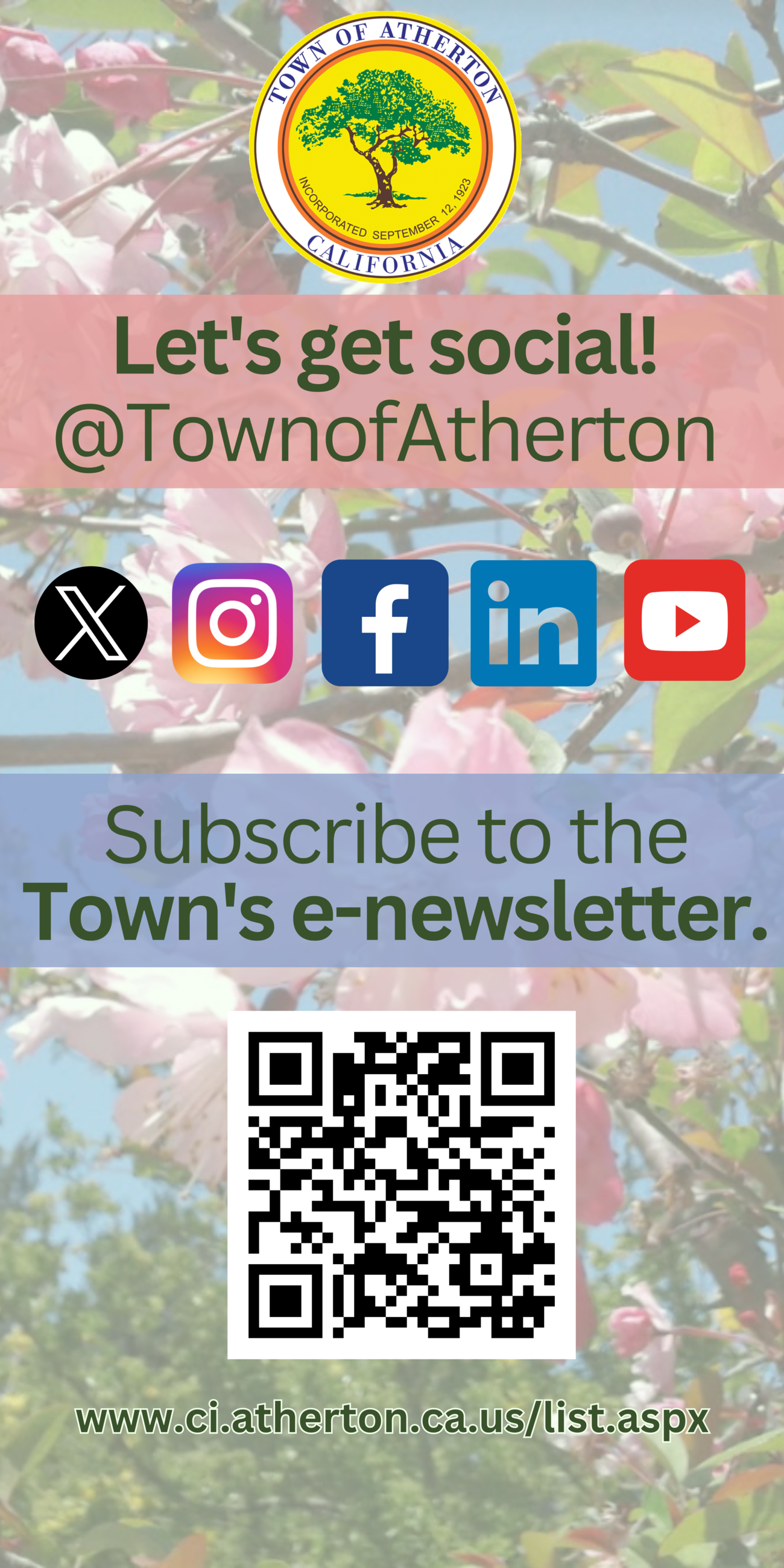 Social Media Banner Image